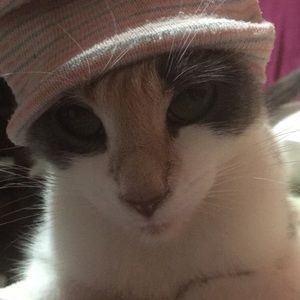 Meet your Posher, Areli